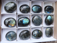 Polished Gorgeous Flashy Labradorite Palm Stones  x 12 From Tulear, Madagascar - TopRock