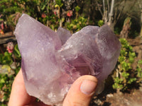 Natural Jacaranda Amethyst Clusters x 2 From Zambia