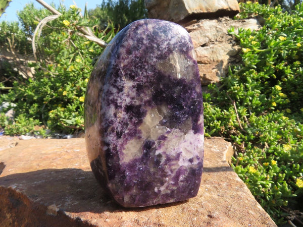 Polished Lepidolite Standing Free Forms x 3 From Zimbabwe - TopRock