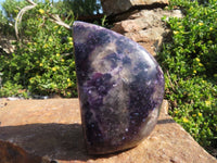 Polished Lepidolite Standing Free Forms x 3 From Zimbabwe - TopRock