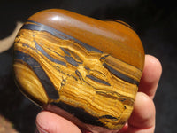 Polished Golden Tigers Eye Free Forms x 6 From Prieska, South Africa