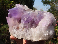 Natural Jacaranda Amethyst Clusters x 2 From Zambia