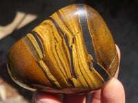 Polished Golden Tigers Eye Free Forms x 6 From Prieska, South Africa