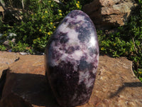 Polished Lepidolite Standing Free Forms x 3 From Zimbabwe - TopRock