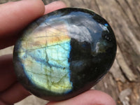 Polished Gorgeous Flashy Labradorite Palm Stones  x 12 From Tulear, Madagascar - TopRock