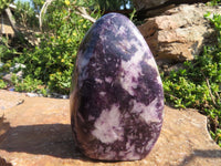 Polished Lepidolite Standing Free Forms x 3 From Zimbabwe - TopRock