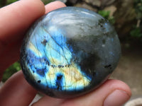 Polished Gorgeous Flashy Labradorite Palm Stones  x 12 From Tulear, Madagascar - TopRock