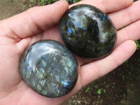 Polished Gorgeous Flashy Labradorite Palm Stones  x 12 From Tulear, Madagascar - TopRock