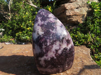 Polished Lepidolite Standing Free Forms x 3 From Zimbabwe - TopRock