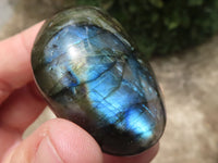 Polished Gorgeous Flashy Labradorite Palm Stones  x 12 From Tulear, Madagascar - TopRock