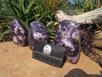 Polished Lepidolite Standing Free Forms x 3 From Zimbabwe - TopRock