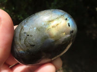 Polished Gorgeous Flashy Labradorite Palm Stones  x 12 From Tulear, Madagascar - TopRock