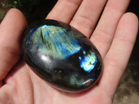 Polished Gorgeous Flashy Labradorite Palm Stones  x 12 From Tulear, Madagascar - TopRock