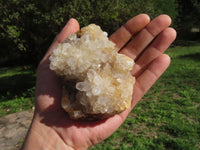 Natural Semi Optic Quartz Crystals On "Honeycomb" Matrix x 12 From Solwezi, Zambia - TopRock