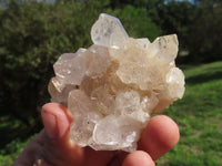 Natural Semi Optic Quartz Crystals On "Honeycomb" Matrix x 12 From Solwezi, Zambia - TopRock