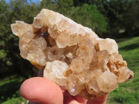 Natural Semi Optic Quartz Crystals On "Honeycomb" Matrix x 12 From Solwezi, Zambia - TopRock