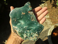 Polished Green Mtorolite / Emerald Chrome Chrysoprase Plates  x 2 From Mutorashanga, Zimbabwe - TopRock