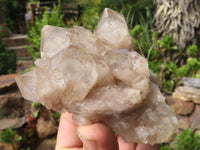 Natural Cascading White Phantom Smokey Quartz Clusters  x 6 From Luena, Congo - Toprock Gemstones and Minerals 