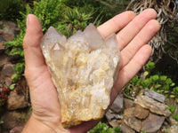 Natural Cascading White Phantom Smokey Quartz Clusters  x 6 From Luena, Congo - Toprock Gemstones and Minerals 