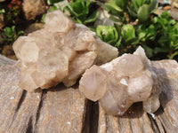 Natural Cascading White Phantom Smokey Quartz Clusters  x 6 From Luena, Congo - Toprock Gemstones and Minerals 