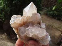 Natural Cascading White Phantom Smokey Quartz Clusters  x 6 From Luena, Congo - Toprock Gemstones and Minerals 