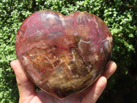 Polished Petrified Red Podocarpus Wood Heart x 1 From Madagascar - TopRock