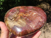 Polished Petrified Red Podocarpus Wood Heart x 1 From Madagascar - TopRock