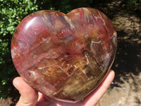 Polished Petrified Red Podocarpus Wood Heart x 1 From Madagascar - TopRock