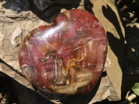 Polished Petrified Red Podocarpus Wood Heart x 1 From Madagascar - TopRock