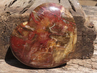 Polished Petrified Red Podocarpus Wood Heart x 1 From Madagascar - TopRock