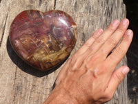 Polished Petrified Red Podocarpus Wood Heart x 1 From Madagascar - TopRock