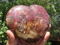 Polished Petrified Red Podocarpus Wood Heart x 1 From Madagascar - TopRock