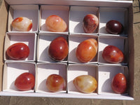 Polished Small Carnelian Agate Eggs  x 12 From Madagascar - TopRock