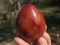 Polished Small Carnelian Agate Eggs  x 12 From Madagascar - TopRock