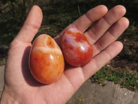 Polished Small Carnelian Agate Eggs  x 12 From Madagascar - TopRock