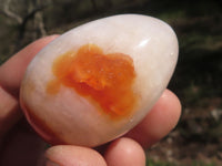 Polished Small Carnelian Agate Eggs  x 12 From Madagascar - TopRock