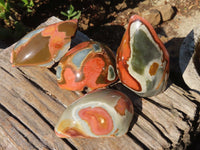 Polished Polychrome Jasper Domed Pieces  x 4 From Madagascar