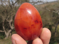 Polished Small Carnelian Agate Eggs  x 12 From Madagascar - TopRock