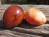 Polished Small Carnelian Agate Eggs  x 12 From Madagascar - TopRock