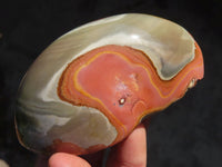 Polished Polychrome Jasper Domed Pieces  x 4 From Madagascar