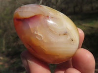 Polished Small Carnelian Agate Eggs  x 12 From Madagascar - TopRock