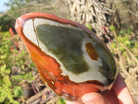 Polished Polychrome Jasper Domed Pieces  x 4 From Madagascar