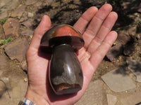 Polished Polychrome / Picasso Jasper Mushrooms  x 6 From Mahajanga, Madagascar - TopRock