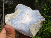 Natural Blue Lace Agate Geode Specimens  x 12 From Nsanje, Malawi - Toprock Gemstones and Minerals 