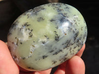 Polished Dendritic Opal Palm Stones  x 12 From Madagascar - Toprock Gemstones and Minerals 