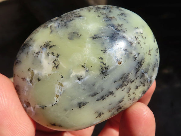 Polished Dendritic Opal Palm Stones  x 12 From Madagascar - Toprock Gemstones and Minerals 