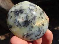 Polished Dendritic Opal Palm Stones  x 12 From Madagascar - Toprock Gemstones and Minerals 