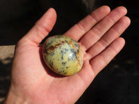 Polished Dendritic Opal Palm Stones  x 12 From Madagascar - Toprock Gemstones and Minerals 