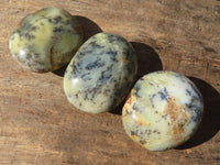 Polished Dendritic Opal Palm Stones  x 12 From Madagascar - Toprock Gemstones and Minerals 