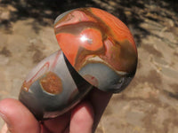 Polished Polychrome / Picasso Jasper Mushrooms  x 6 From Mahajanga, Madagascar - TopRock